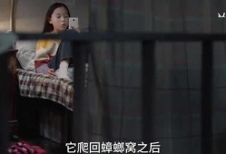 三姐姐爆料视频大全最新