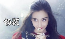 狗仔爆料杨颖视频大全下载,杨颖视频大全下载，精彩瞬间一网打尽